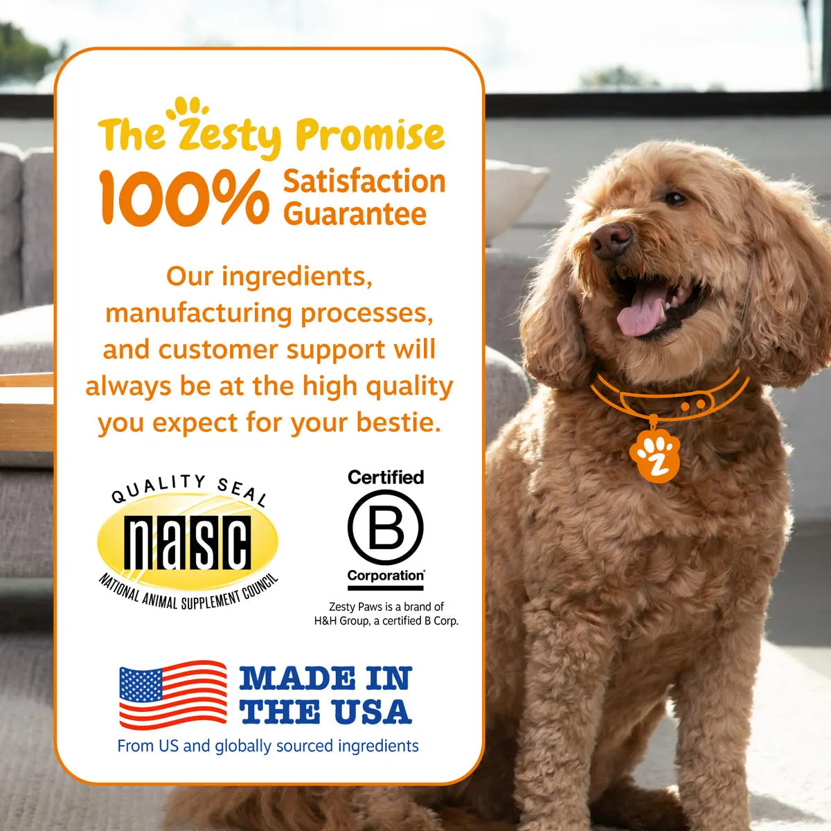 Fresh Start Pet Wash & Protect Bundle – 16 Oz Shampoo & 16 Oz Flea & Tick Spray for Happy, Healthy Pets