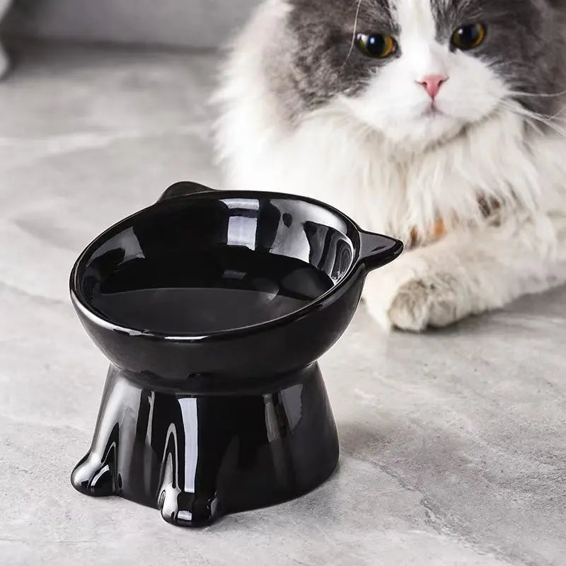 Elevated Anti-Vomit Pet Feeding Bowls Set - Protect Your Cat or Small Dog's Neck & Spine, Non-Slip Base, Durable Design