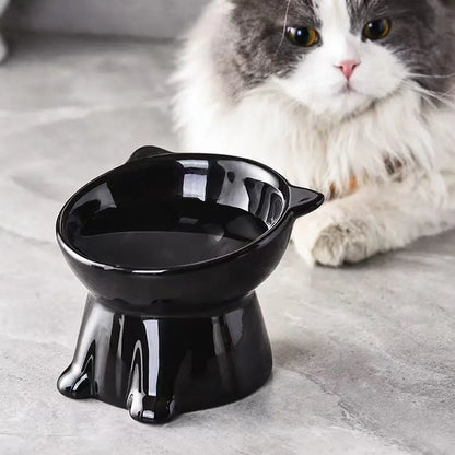 Elevated Anti-Vomit Pet Feeding Bowls Set - Protect Your Cat or Small Dog's Neck & Spine, Non-Slip Base, Durable Design