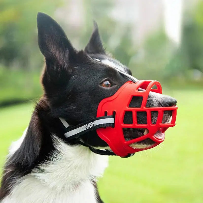 Baskerville Humane Dog Muzzle - Breathable, Adjustable, and Padded for Small Dogs - Safe Training Solution to Prevent Biting and Scavenging