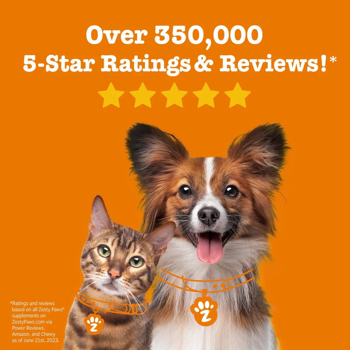 Fresh Start Pet Wash & Protect Bundle – 16 Oz Shampoo & 16 Oz Flea & Tick Spray for Happy, Healthy Pets