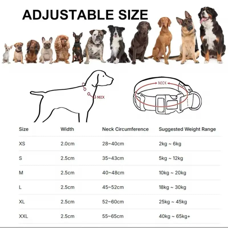 Rechargeable LED Dog Collar - Adjustable, Waterproof, and Glow-in-the-Dark for Night Safety