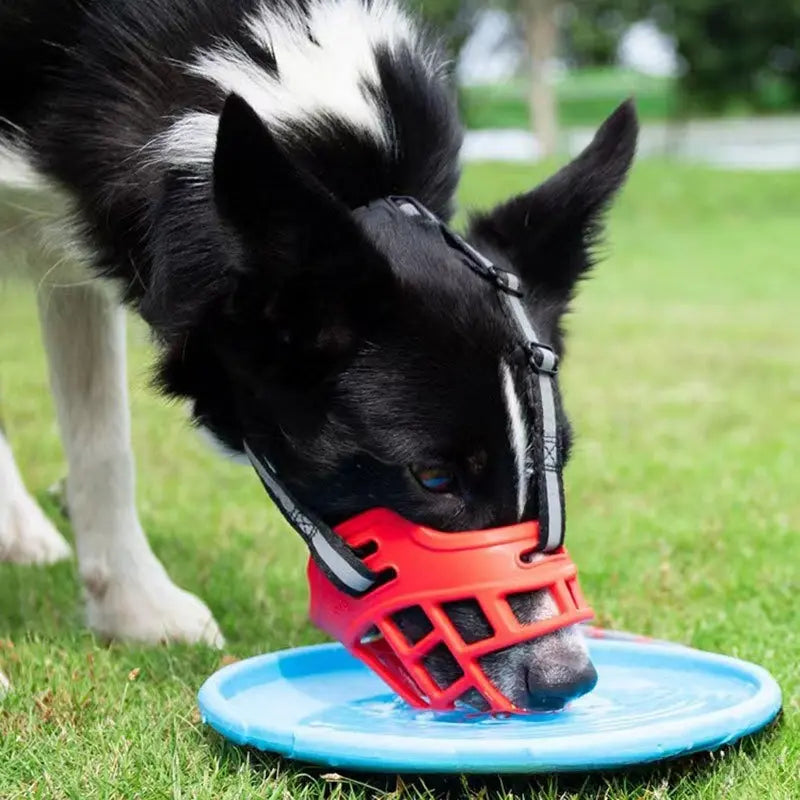 Baskerville Humane Dog Muzzle - Breathable, Adjustable, and Padded for Small Dogs - Safe Training Solution to Prevent Biting and Scavenging