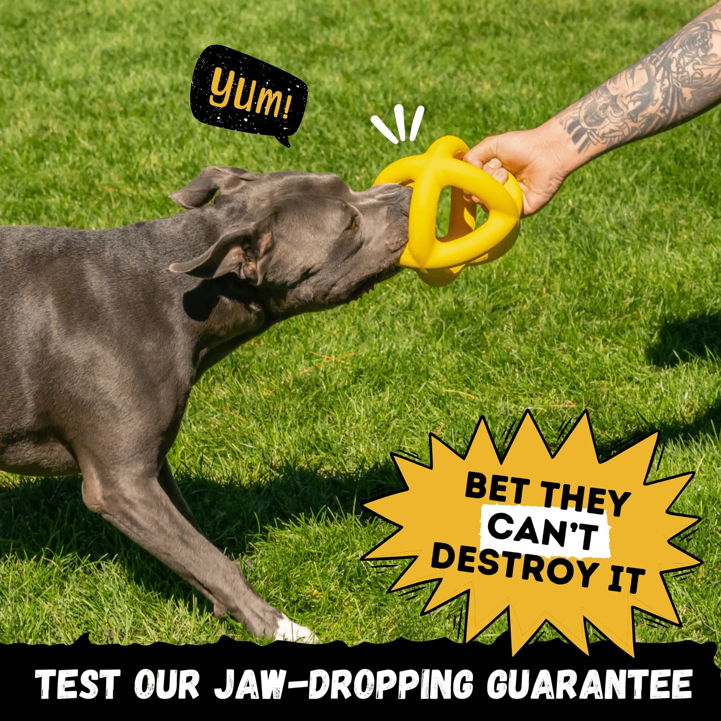 Ultimate Monster K9 Giant Halo Ball – Indestructible Oversized Dog Ball for XL & Large Breed Power Chewers