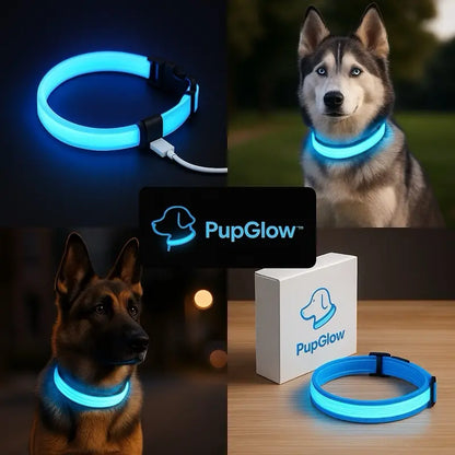 Rechargeable LED Dog Collar - Adjustable, Waterproof, and Glow-in-the-Dark for Night Safety