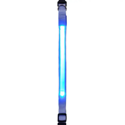 Rechargeable LED Dog Collar - Adjustable, Waterproof, and Glow-in-the-Dark for Night Safety