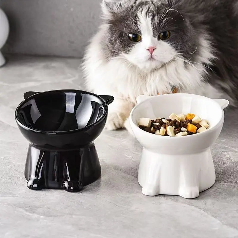 Elevated Anti-Vomit Pet Feeding Bowls Set - Protect Your Cat or Small Dog's Neck & Spine, Non-Slip Base, Durable Design